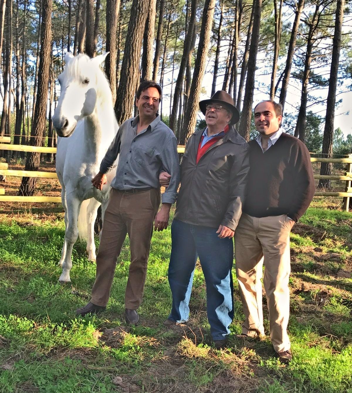 Tiago, Henrique and Francisco Abecasis beside a grey horse in a pine wood