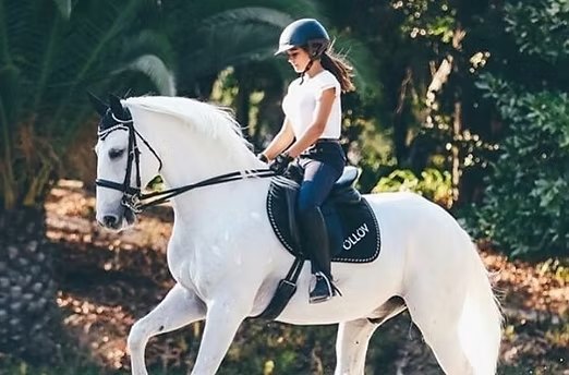 Jeune cavalière sur un cheval gris