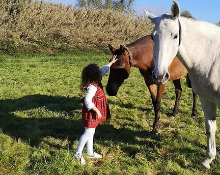 Petite fille caressant une jument baie à côté d'une jument grise