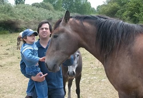 Jeune enfant porté dans les bras pour caresser une jument au pré