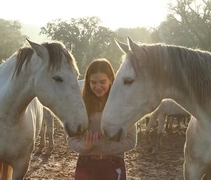 Jeune femme entre deux juments grises, les nourrissant à la main au lever du soleil